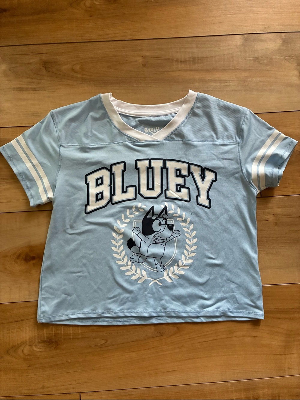 Lucy Light Blue 'BLUEY' Graphic Tee with White Accents